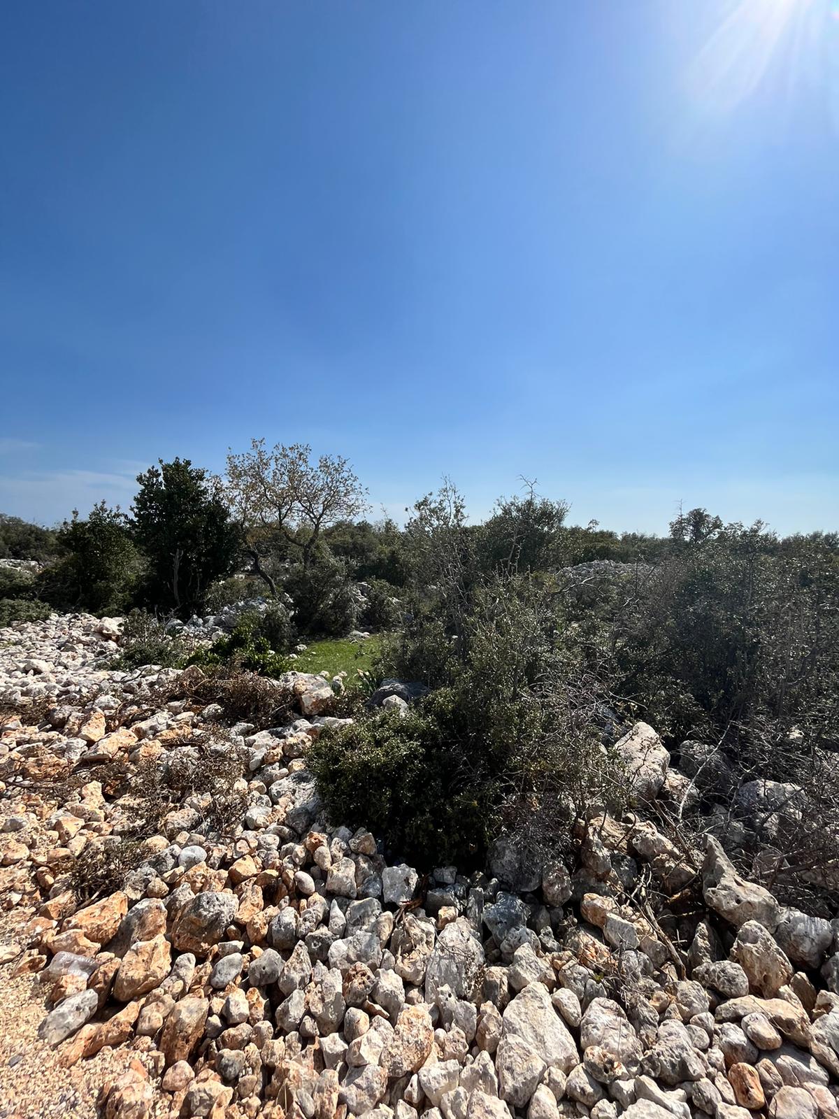 SİLİFKE ÖZTÜRKMENLİDE SATILIK 2856M2 ARSA